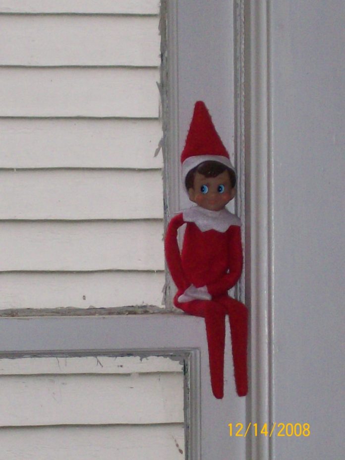 Why, Oh Why, Did I Bring an Elf Into the House?!