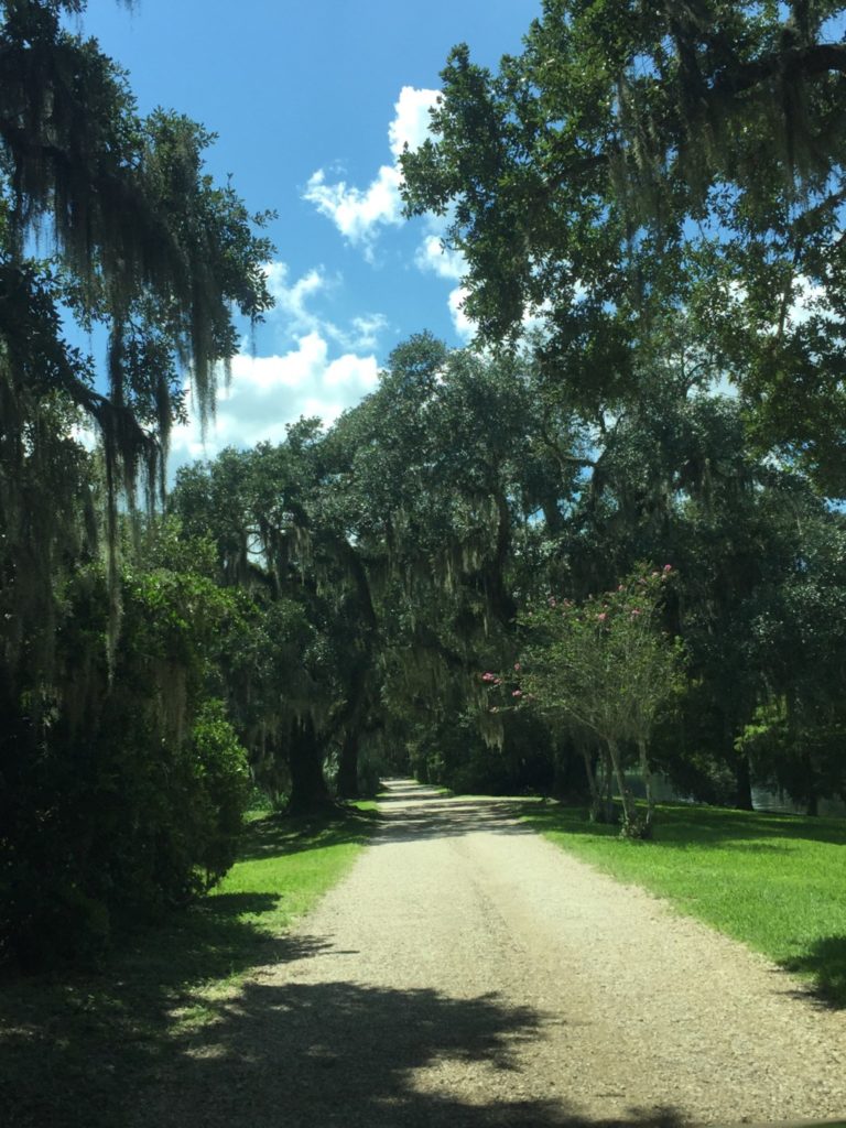 TABASCO® :: The Avery Island Family Experience {Worth The Drive}