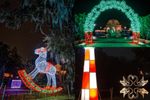 Spectacular Holiday Celebration in the Oaks lights