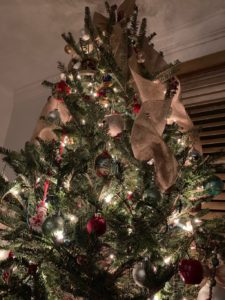 Christmas tree season through the Epiphany on January 6