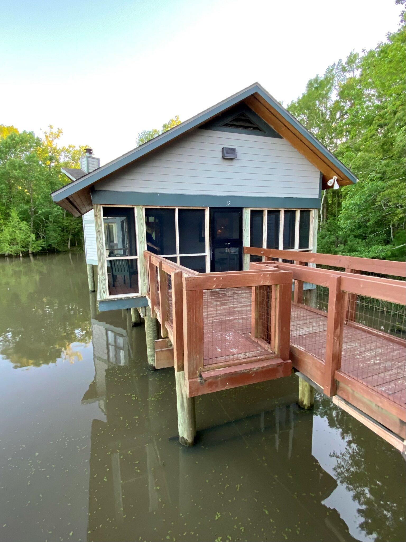 Escape to the "Bayou Wonderland": Unveiling the Magic of Lake Chicot State Park