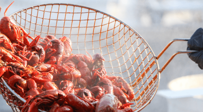 Best crawfish in Lafayette and surrounding Acadiana area 2022