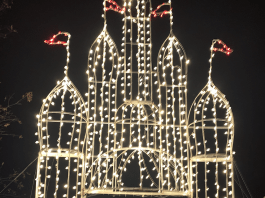 LARC holiday lights in Lafayette, LA