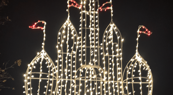 LARC holiday lights in Lafayette, LA
