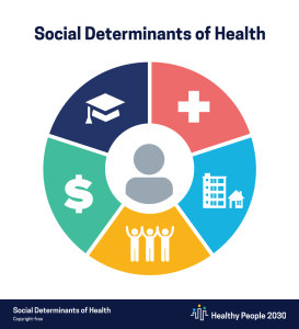 Creating Health Equity: Exploring Social Determinants Of Health In Acadiana
