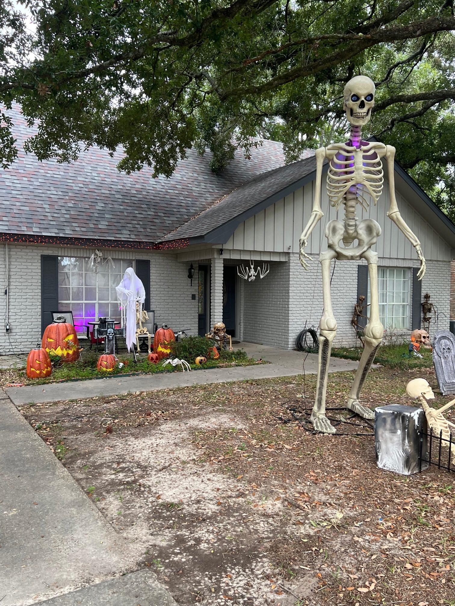 Where to see Halloween Decorations in lafayette