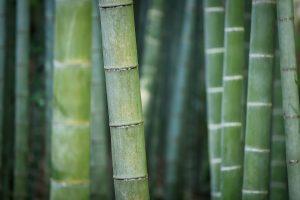 The Magic Of Bamboo Onesies